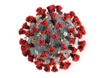 a close-up of a virus