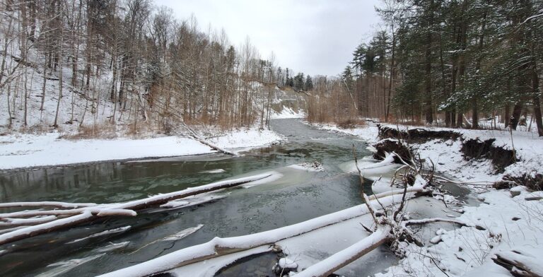snowy river